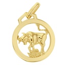 9Y ZODIAC PENDANT