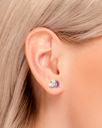 GM_EAR1208_M.webp