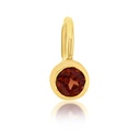 ## 9Y MINI GARNET CHARM