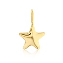 ## 9Y MINI STAR CHARM