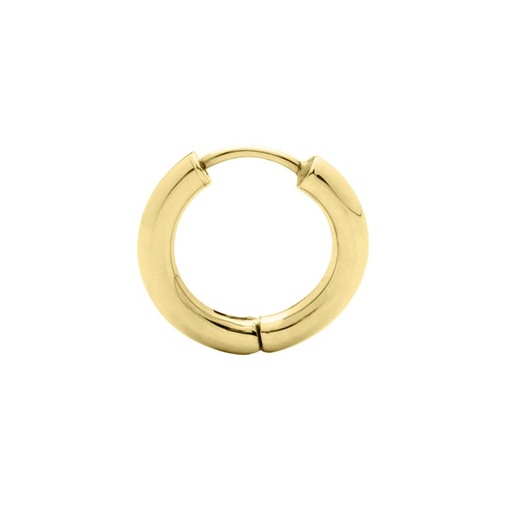 [EAR225] 9Y 10MM HUGGIE