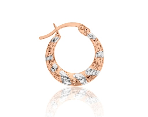 [EAR624] ## 9WP CRESCENT 10MM HOOP