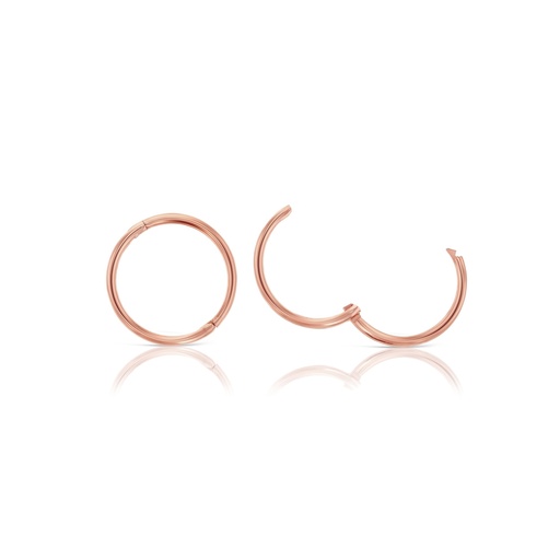 [HSP12-9R] ## 9R 12MM SOLID HINGED SLEEPER